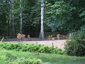 Zoo 08